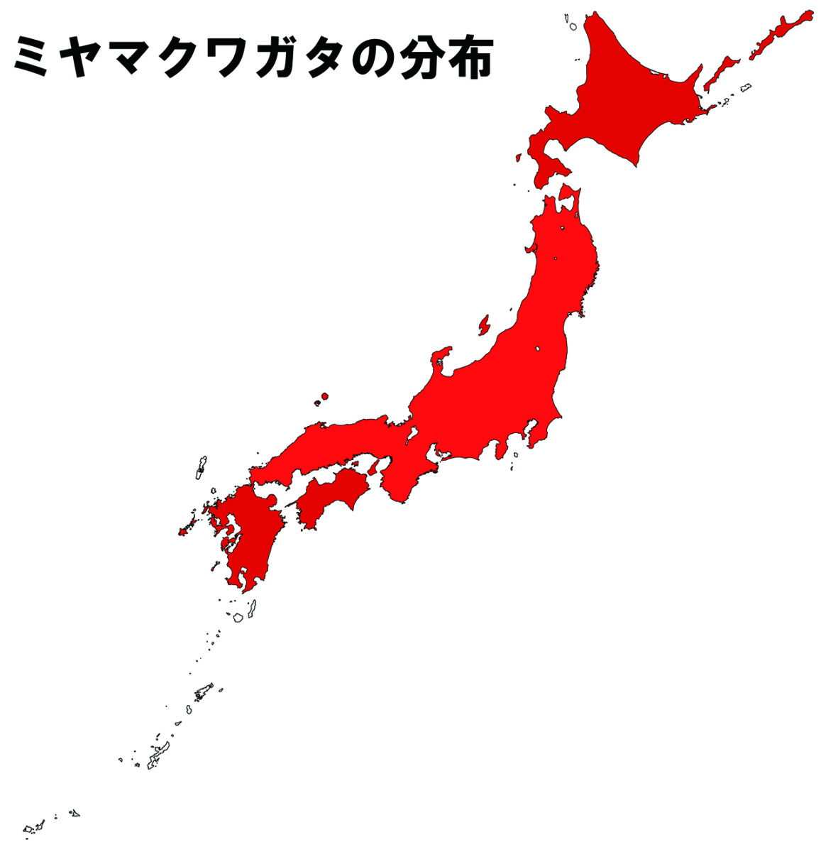 ミヤマクワガタ採集 21 生息地や発生時期について解説 天然ものを飼育しよう 山川自然研究所